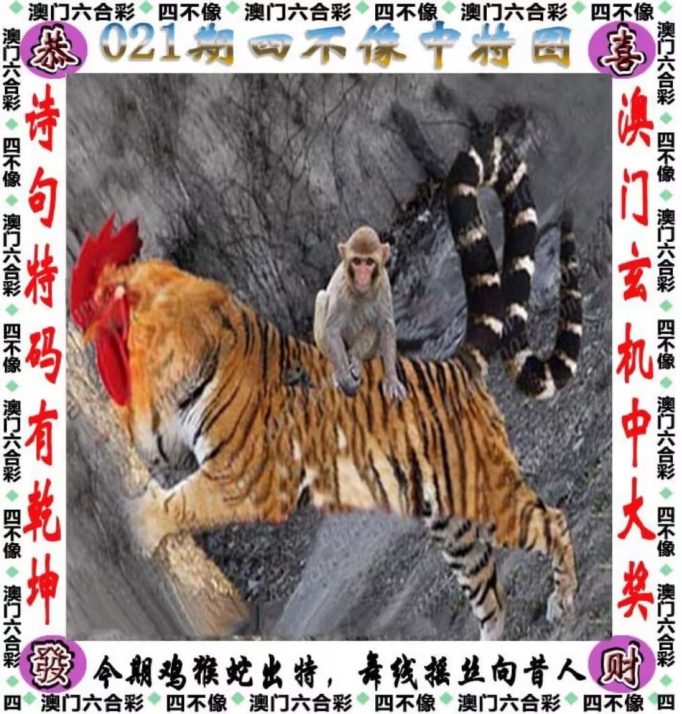 云腾数创科技有限公司